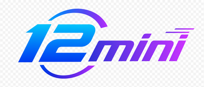 12mini